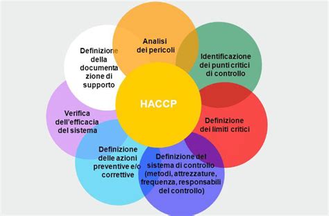 haccp vadības principi.